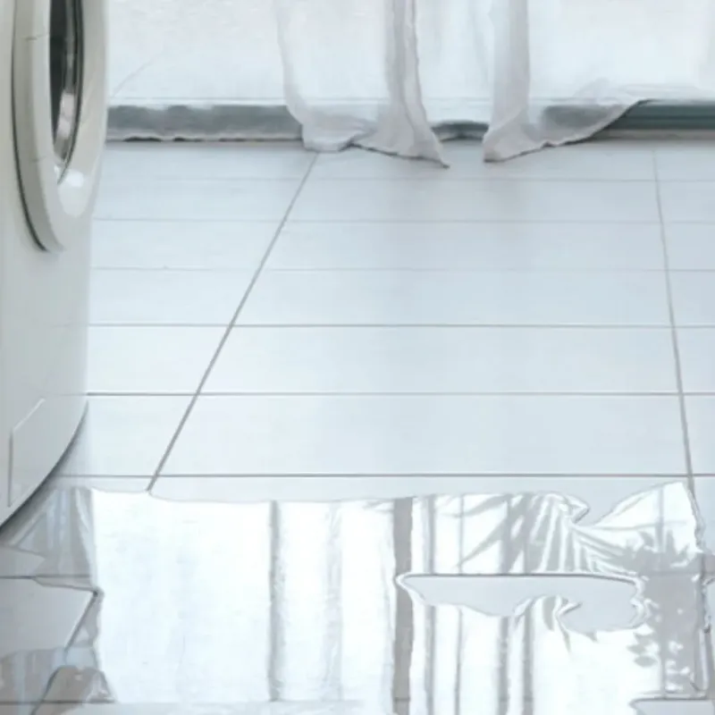 Appliance Leak Cleanup in Trempealeau, WI