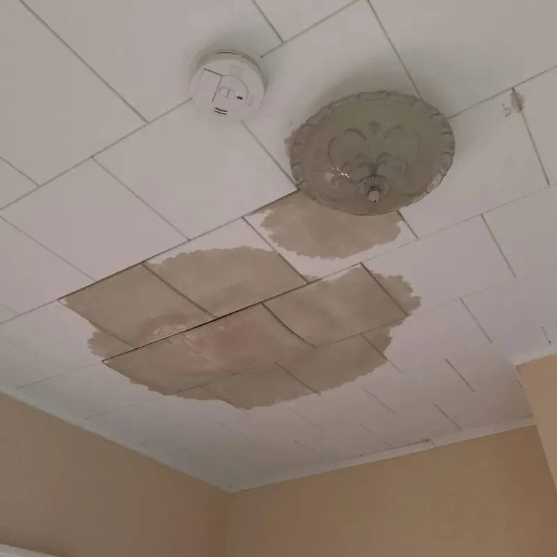 Ceiling Water Damage Repair in Trempealeau, WI