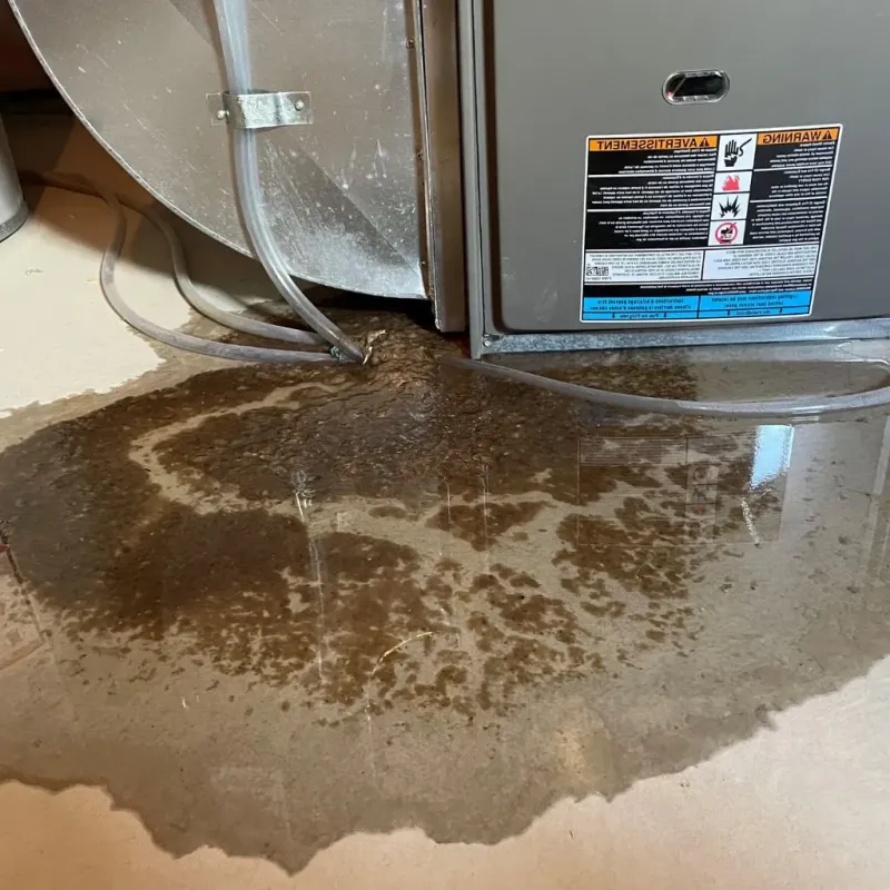 Pipe Burst and Leak Restoration in Trempealeau, WI